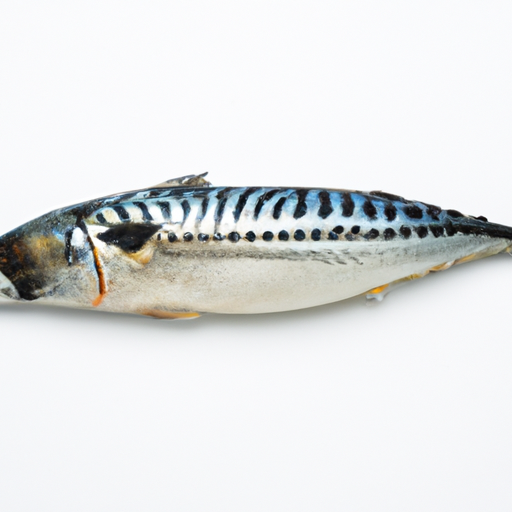 Fresh Caballa Atlántica