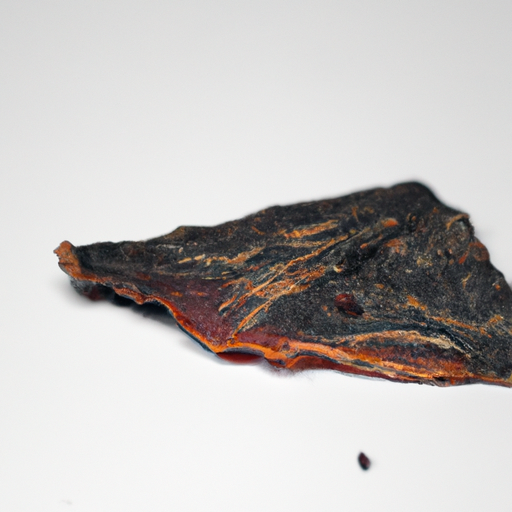 Spoiled Biltong Dried Cured Meat