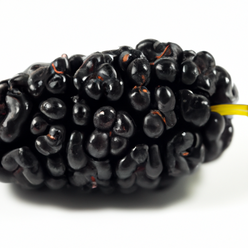 Fresh Black Mulberry