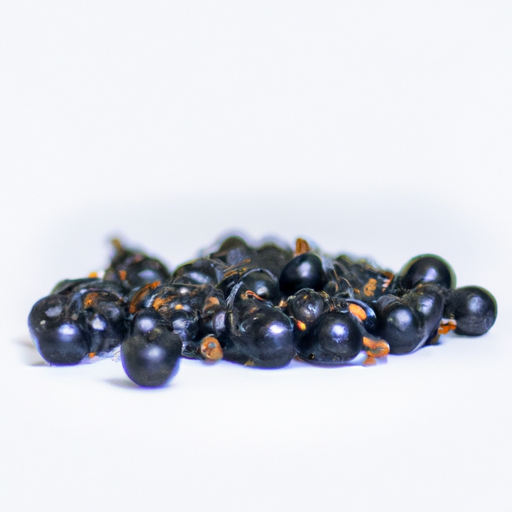 Fresh Blackcurrant