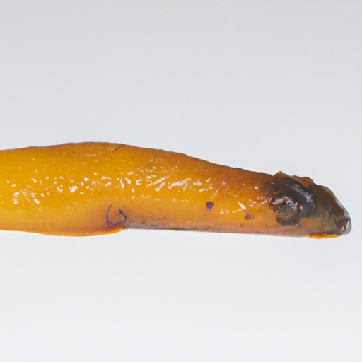 Spoiled Bottarga