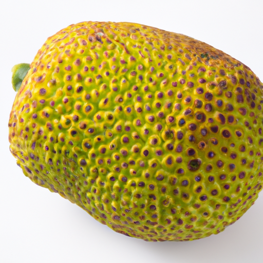 Fresh Breadfruit