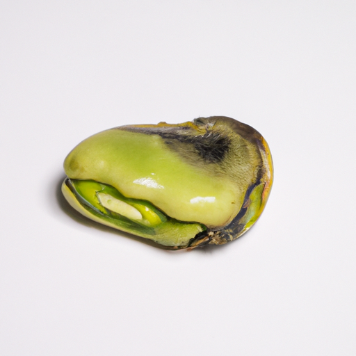 Spoiled Broad Bean