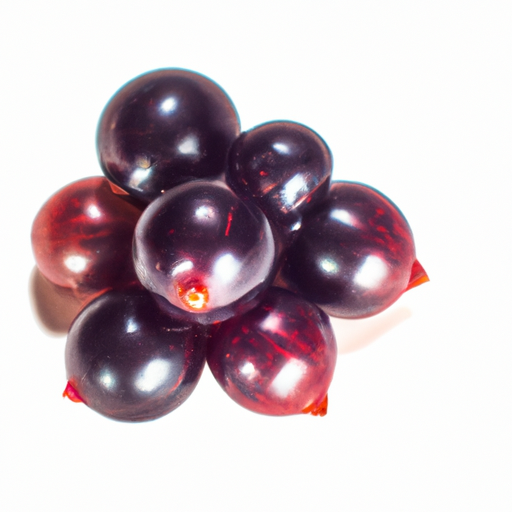 Fresh Buffalo Currant