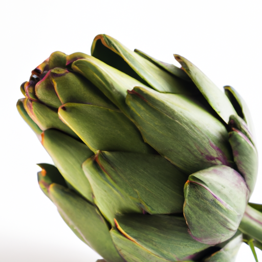 Fresh Cardoon