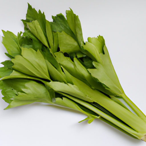 Fresh Celery Leaves