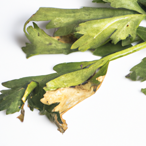 Spoiled Celery Leaves