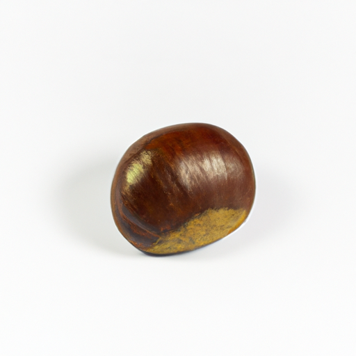 Fresh Chestnut