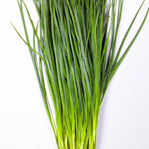 Fresh Chinese Chives