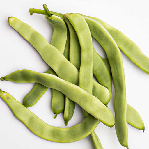 Fresh Common Bean
