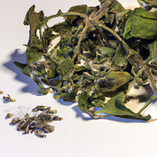 Spoiled Common Oregano