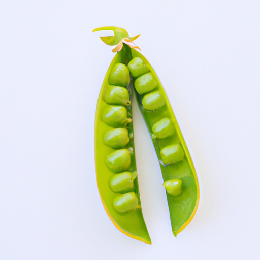 Fresh Common Pea