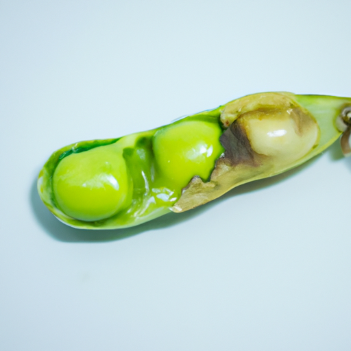 Spoiled Common Pea