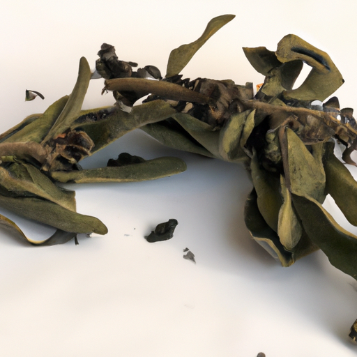 Spoiled Common Sage