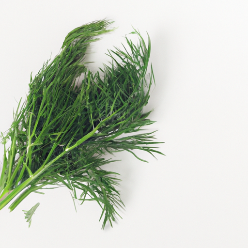 Fresh Dill