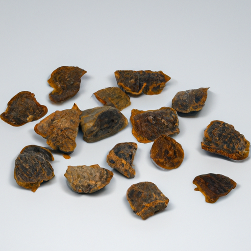 Spoiled Freeze Dried Dog Food