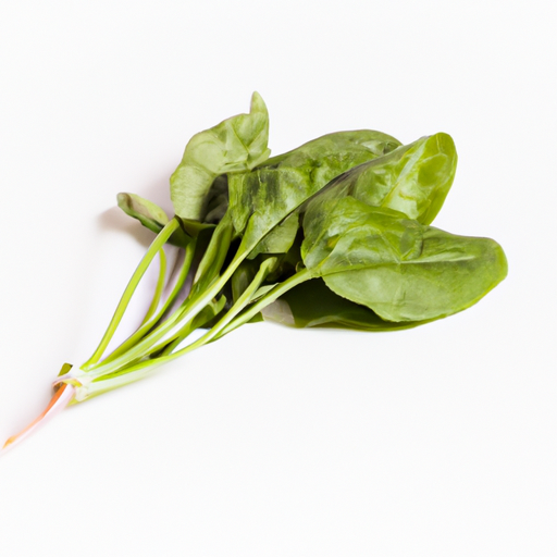 Fresh Fresh Spinach