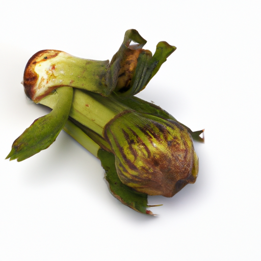 Fresh Giant Butterbur