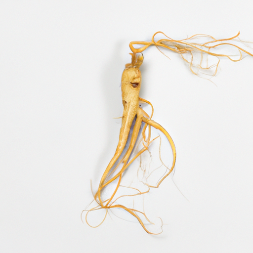 Fresh Ginseng