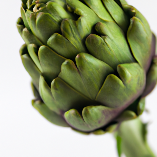 Fresh Globe Artichoke