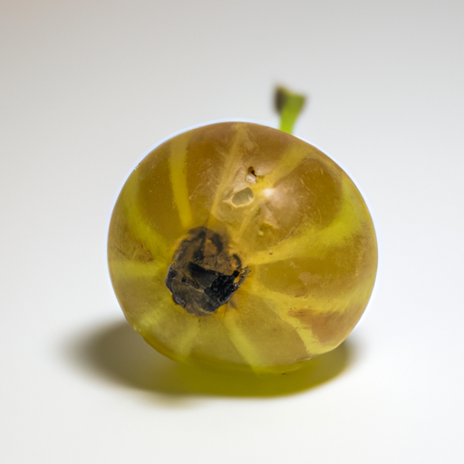 Spoiled Gooseberry