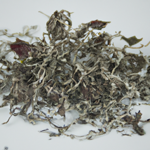 Spoiled Hyssop