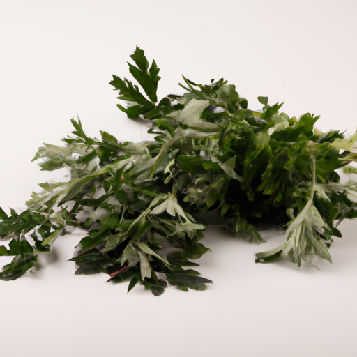 Fresh Mugwort