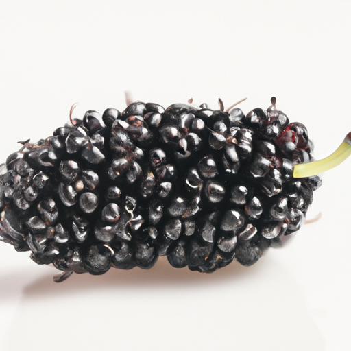 Fresh Mulberry