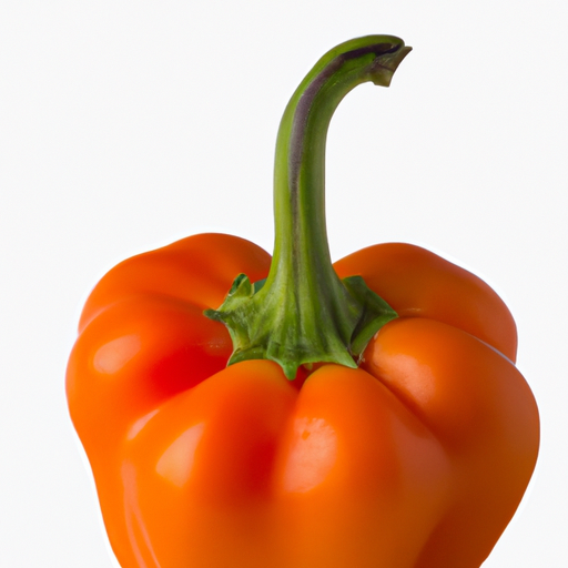 Fresh Pimiento Capsicum