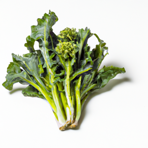 Fresh Rapini