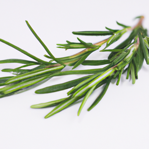 Fresh Rosemary Fresh Raw