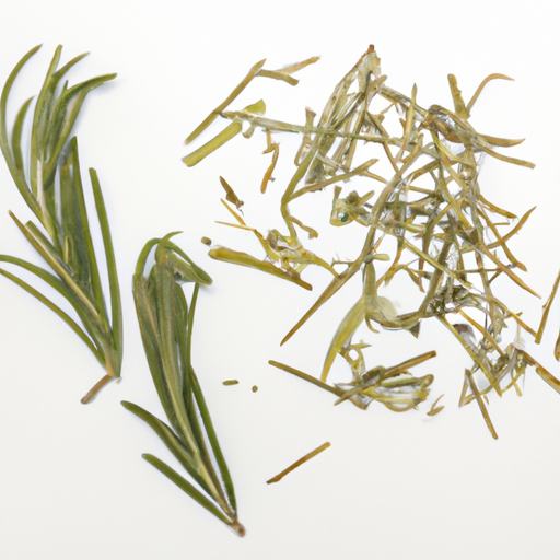 Fresh Rosemary Leaves Dried Commercially Bottled or Purchased in Bulk Unopened or Opened