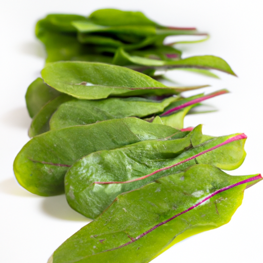 Fresh Sorrel