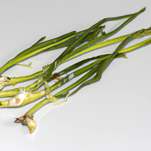 Spoiled Spring Onions