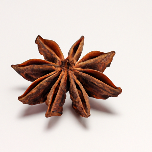 Fresh Star Anise