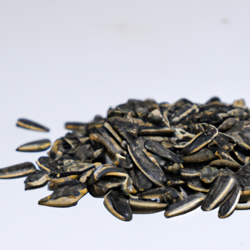 Fresh Sunflower Seeds