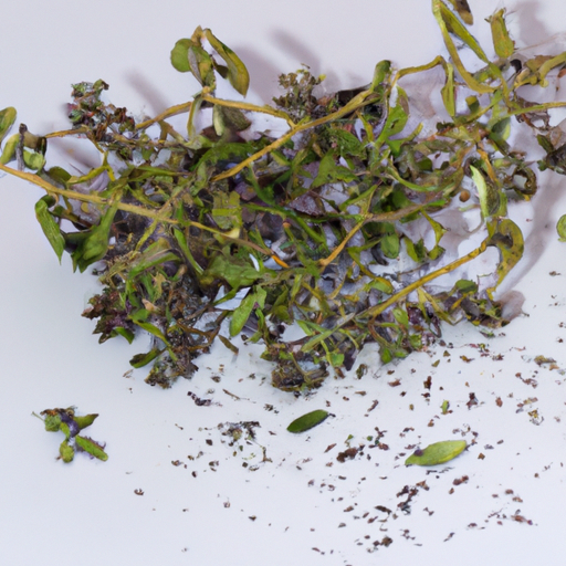 Spoiled Sweet Marjoram