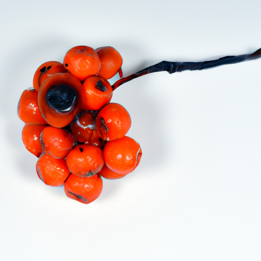 Spoiled Sweet Rowanberry
