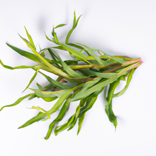 Fresh Tarragon