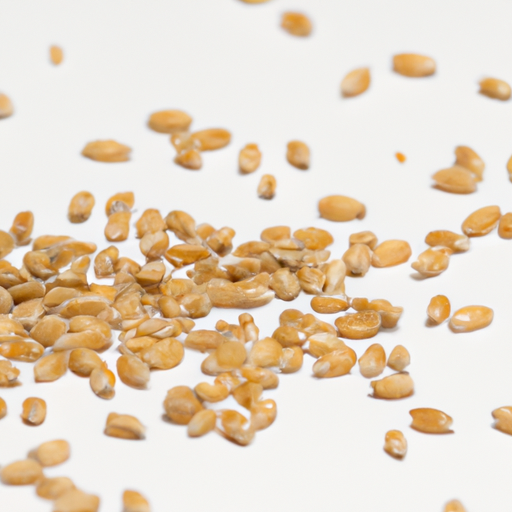 Fresh Vital Wheat Gluten