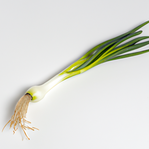 Fresh Welsh Onion