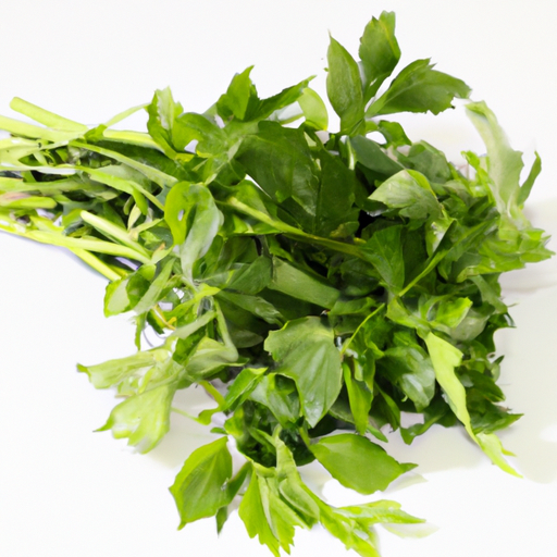 Fresh Wild Celery