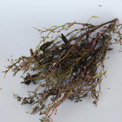 Spoiled Winter Savory