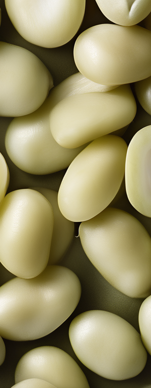 How Long Can You Keep Opened Canned Lima Beans in the Pantry Before They Go Bad?