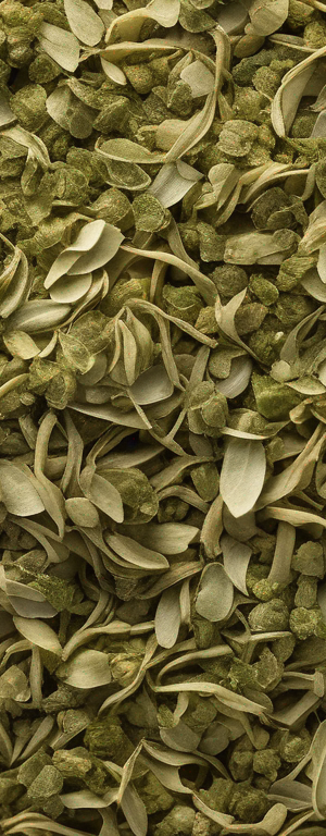 How to Properly Store Dried Oregano for Long-Lasting Freshness