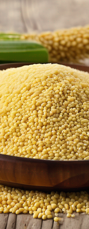 How to Store Millet for Optimal Freshness