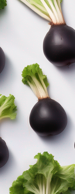 Preserving Black Radish: Methods to Extend Shelf Life