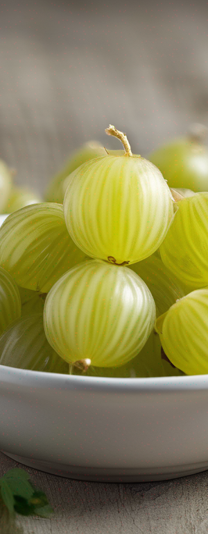 Preserving Gooseberries for Long-Term Storage