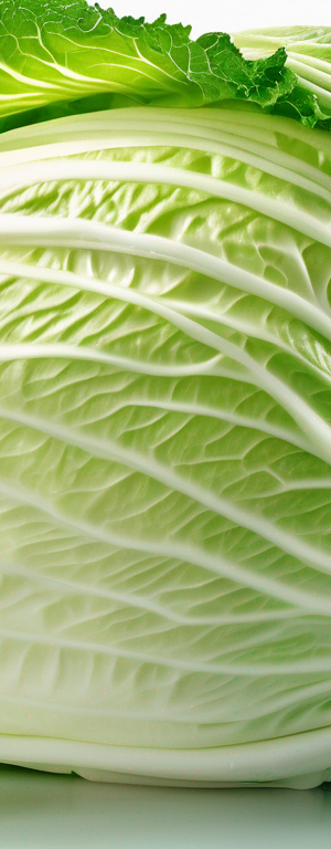Proper Storage of Chinese Cabbage: Preventing Wilting and Spoilage
