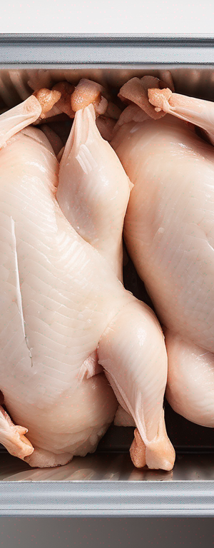 Signs of Spoilage in Frozen Chicken (Unopened) and When to Discard